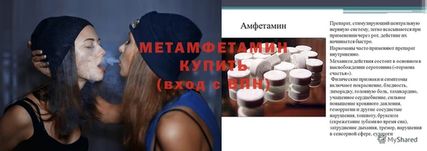 ГАЛЛЮЦИНОГЕННЫЕ ГРИБЫ Козловка
