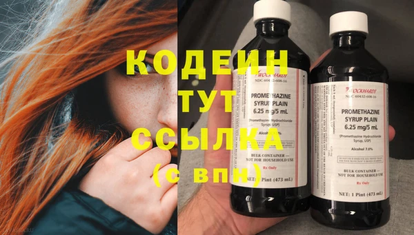 ГАЛЛЮЦИНОГЕННЫЕ ГРИБЫ Козловка
