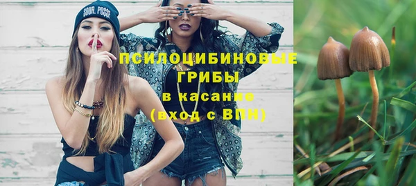 тгк Корсаков