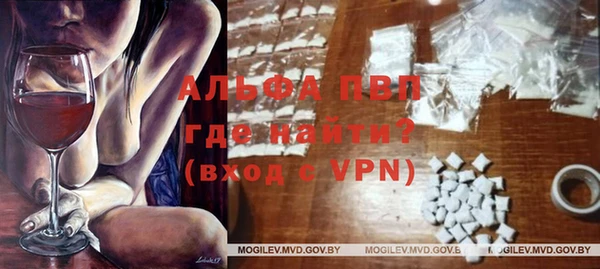 ГАЛЛЮЦИНОГЕННЫЕ ГРИБЫ Козловка