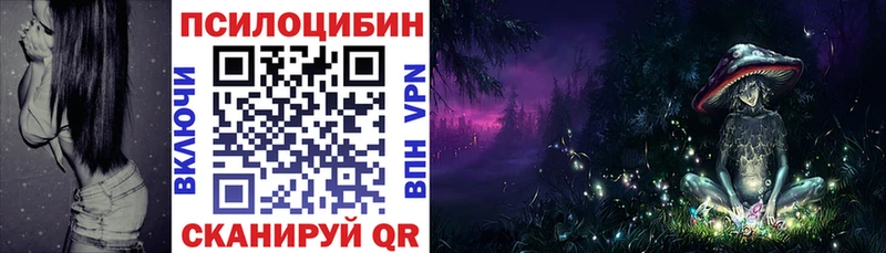 Псилоцибиновые грибы Cubensis  Купить где  Донецк 